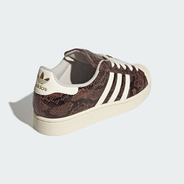 Baskets basses 'Superstar II' ADIDAS ORIGINALS en marron