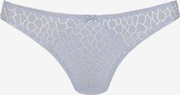 LASCANA Thong in Blue: front