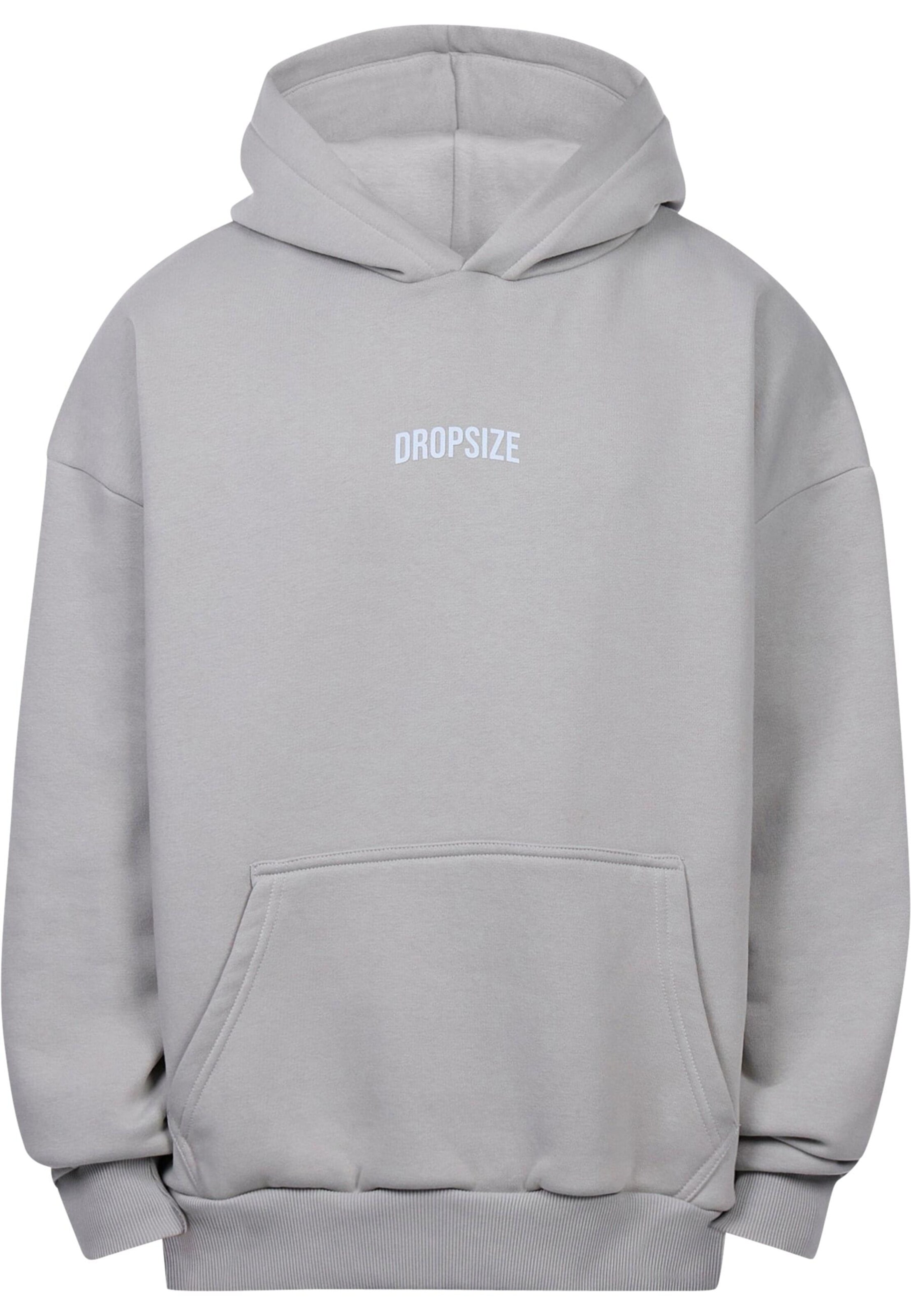 Dropsize Sweatshirt in Grau: Vorderseite