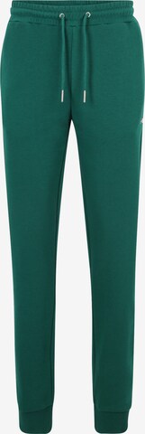 FILA Tapered Broek 'Apparel Braives' in Groen: voorkant