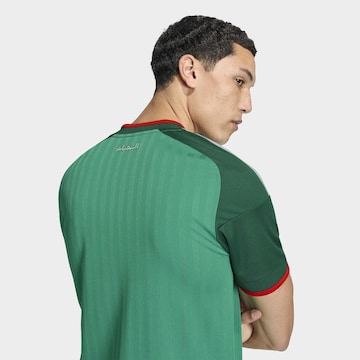 Maglia trikot 'Algeria 26 Away' di ADIDAS PERFORMANCE in verde