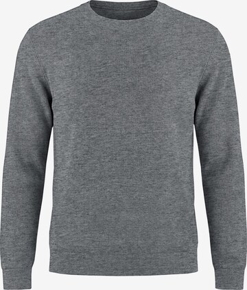 Vantory Sweater in Grey: front