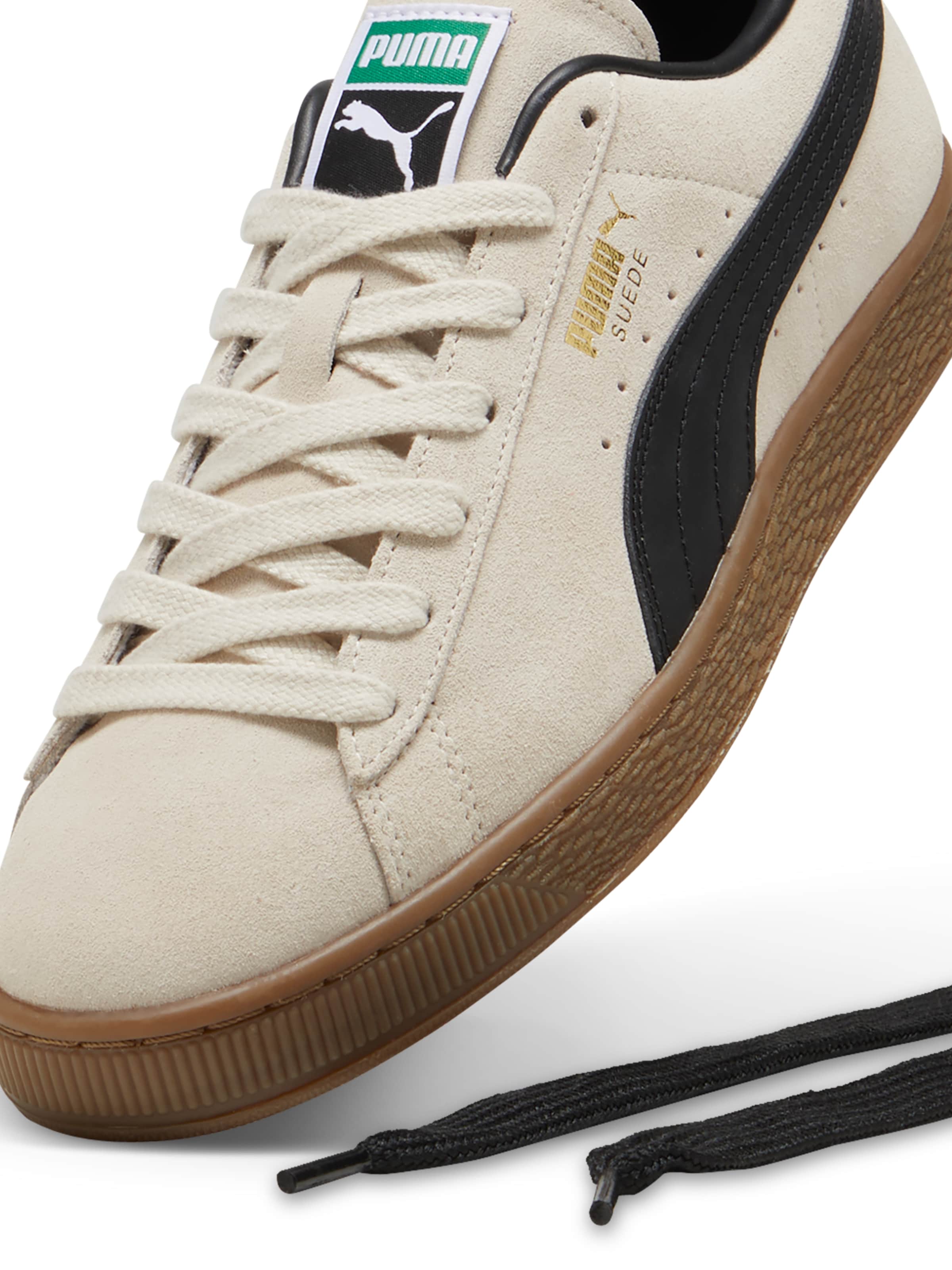 PUMA Σνίκερ χαμηλό 'Suede Terrace' σε λευκό: κορυφή