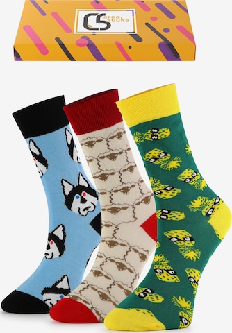 Crea Socks Sukat 'Bunt' värissä monivärinen: etupuoli