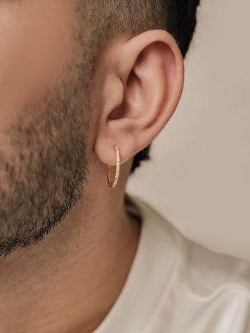 Hey Happiness Oorbel 'Big Sparkles' in Goud