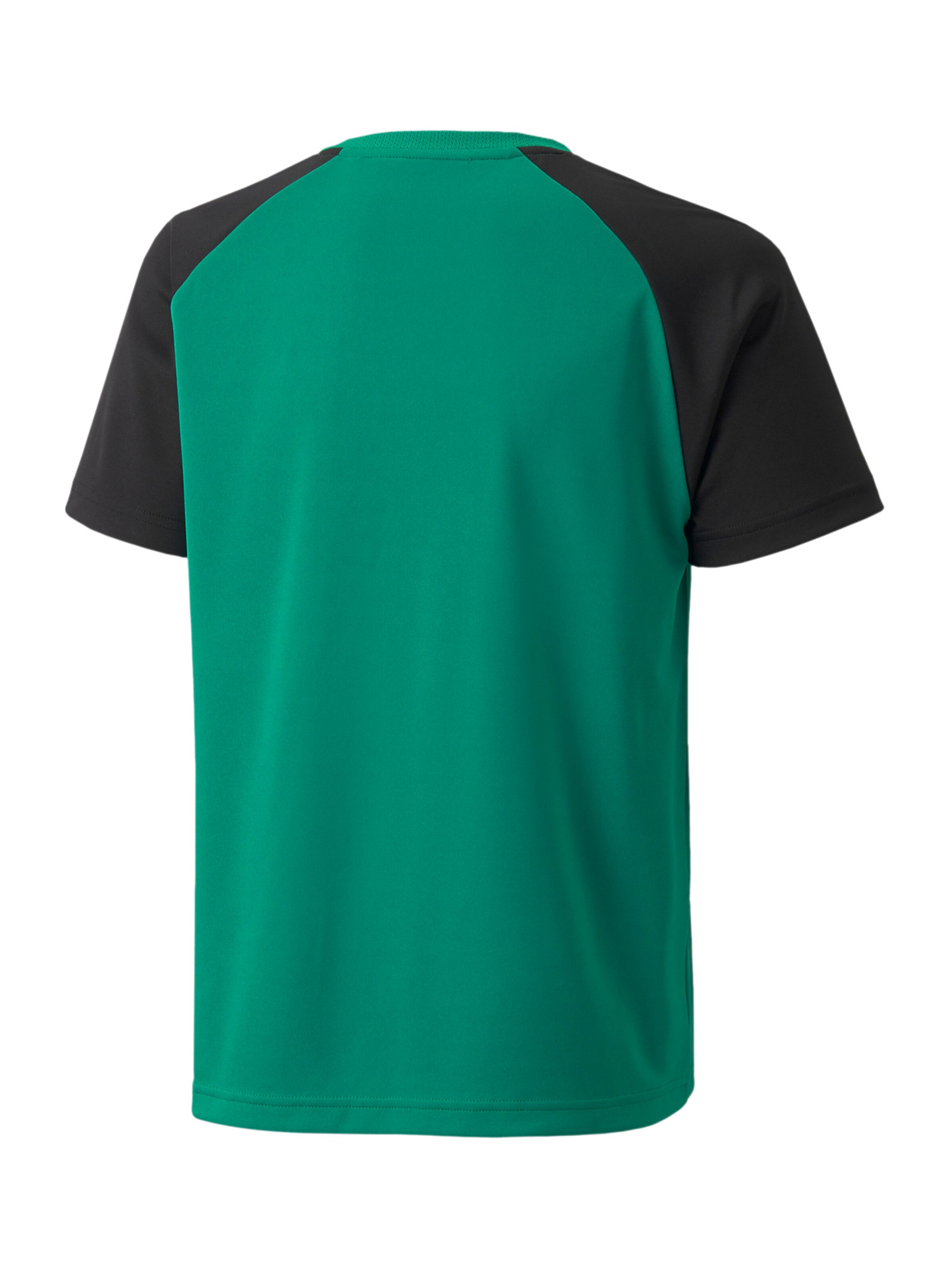 PUMA Performance Shirt 'Teampacer' in Green