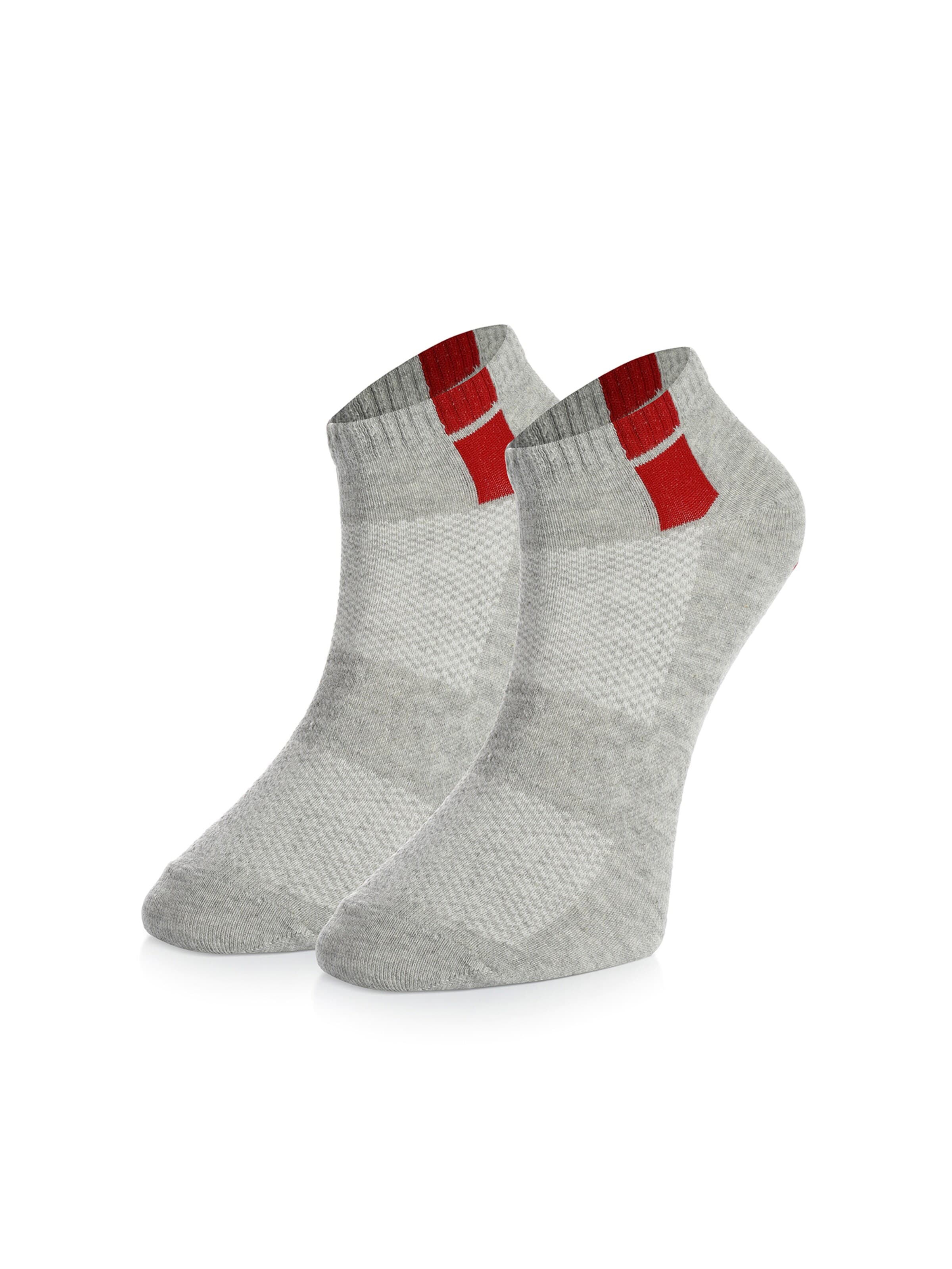 Crea Socks Socken in Grau