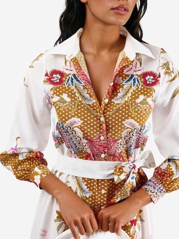 MSN Collection Obleka | mešane barve barva