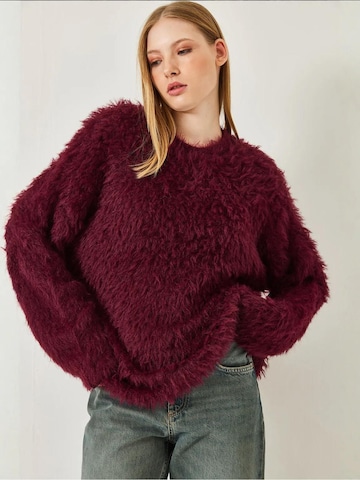 Bianco Lucci - Pullover 'Pullover' em vermelho