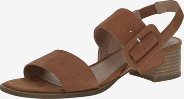 CAPRICE Sandals in Brown: front