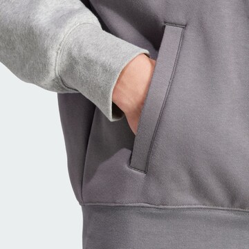 ADIDAS ORIGINALS Sweatshirt 'Adicolor Seasonal' in Grey
