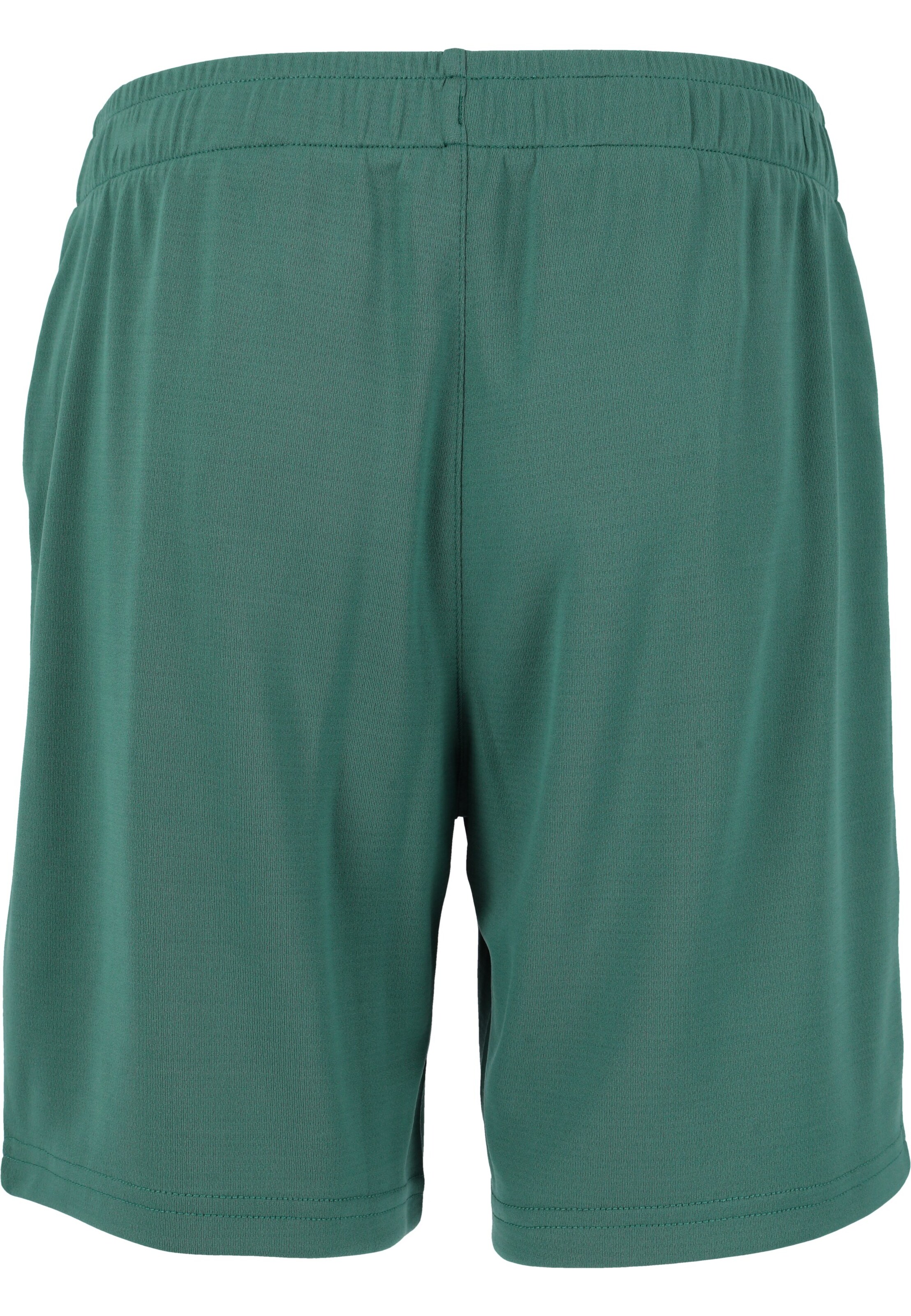 ENDURANCE Regular Sports trousers 'Sesto' in Green