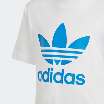 ADIDAS ORIGINALS Set 'Adicolor' in Blue