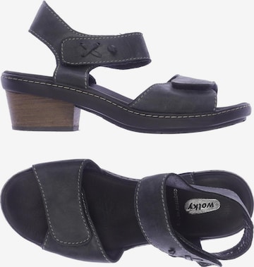 Wolky Sandals & High-Heeled Sandals in 39 in Black: front