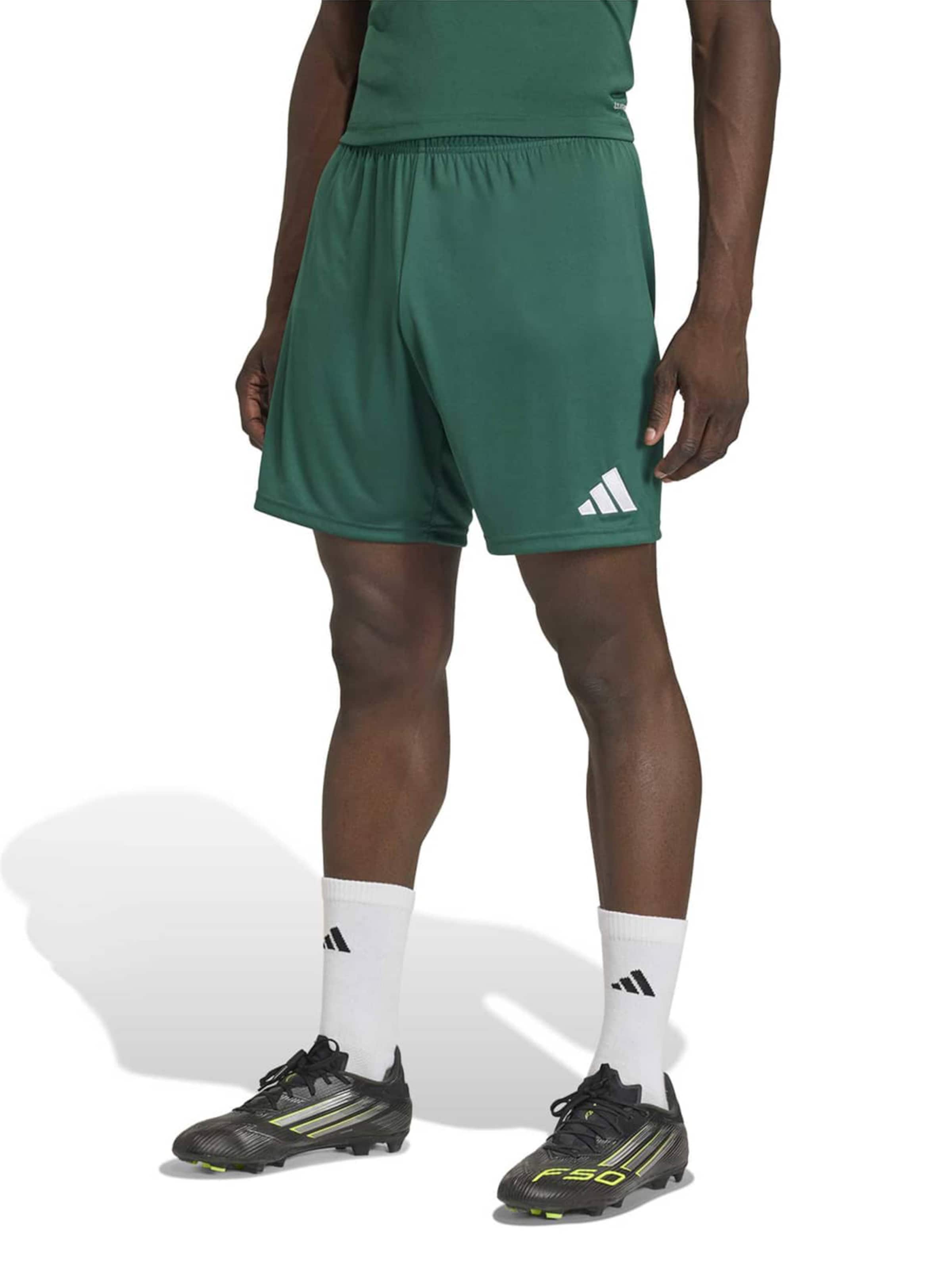 ADIDAS PERFORMANCE - regular Pantalón deportivo 'ENT26' en verde: frente