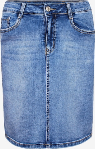 Fraternel Skirt in Blue: front