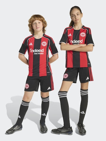 ADIDAS PERFORMANCE - Regular Calças de desporto em preto: frente