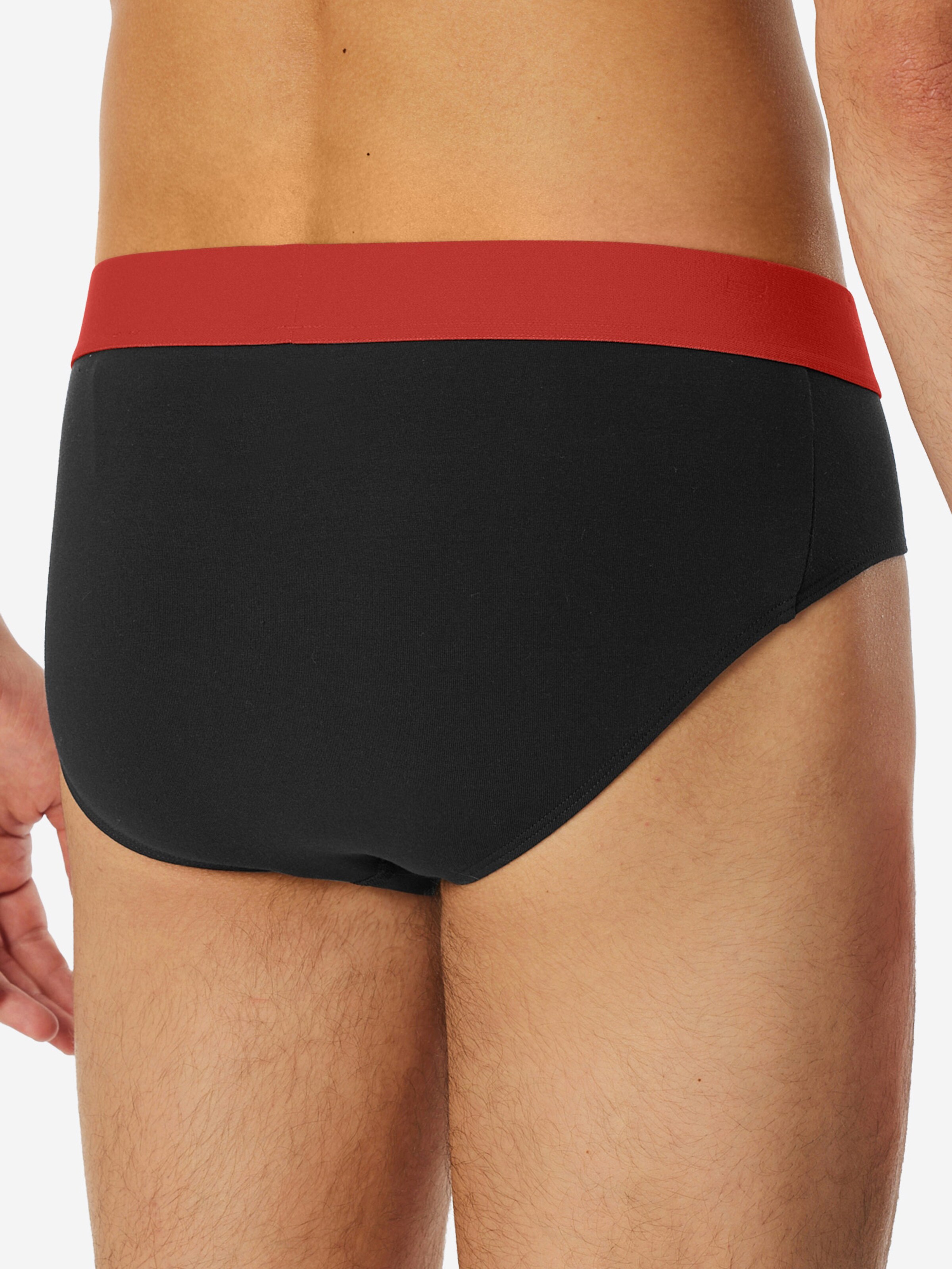 SCHIESSER Slip ' 95/5 Organic Cotton ' in Zwart