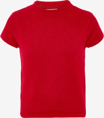 Poomi Sweater in Red: front