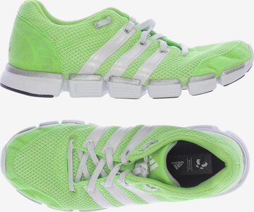 ADIDAS PERFORMANCE Sneakers & Trainers in 39,5 in Green: front