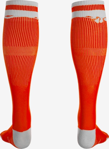 OUTFITTER Athletic Socks 'Tahi' in Orange