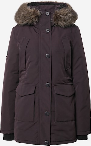 Superdry Winter jacket 'Everest' in Purple: front