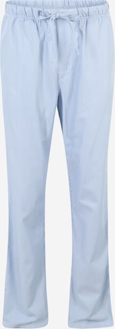 JBS OF DENMARK Pajama Pants in Blue: front