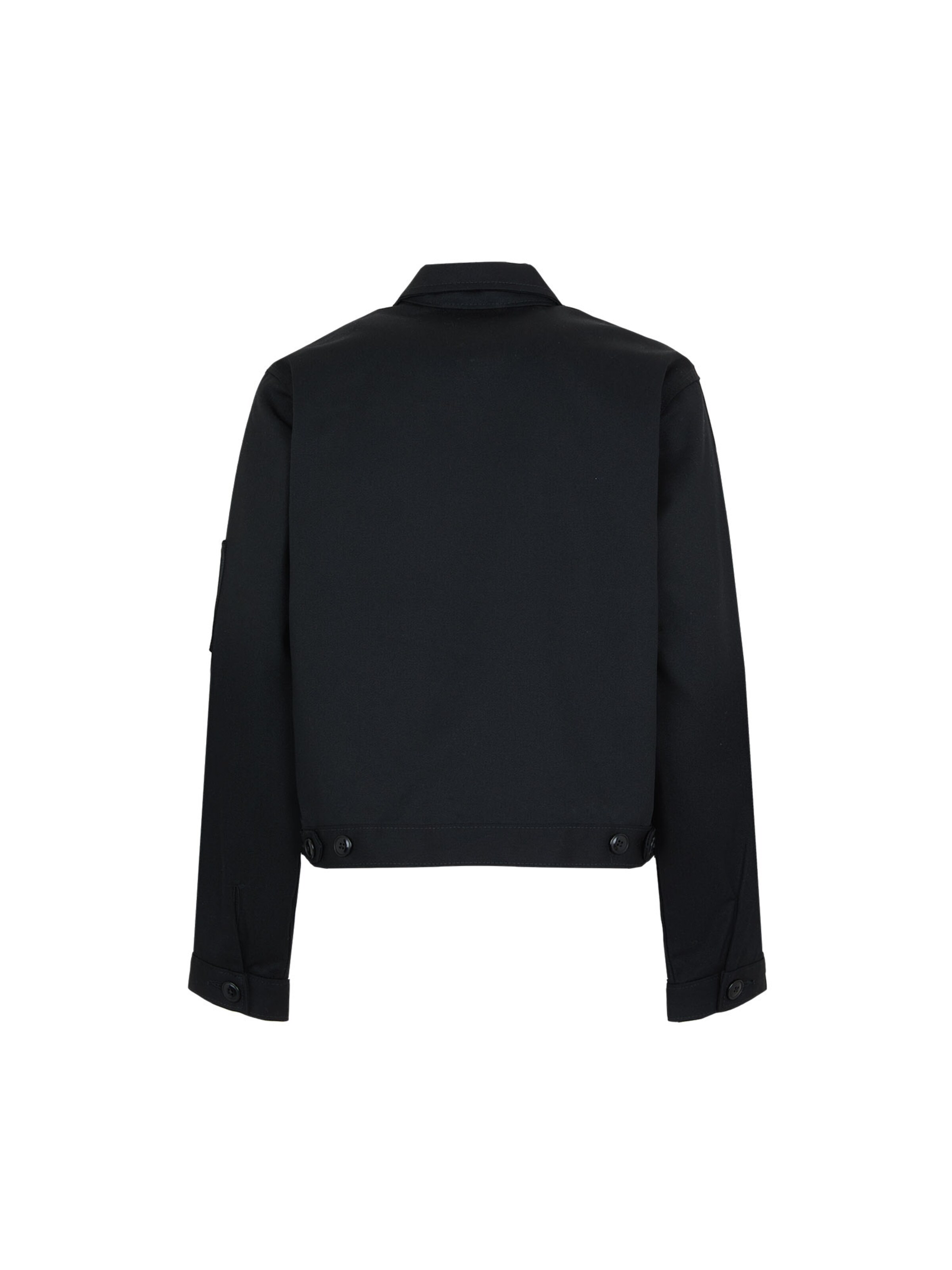 DICKIES Демисезонная куртка 'EISENHOWER' в Черный