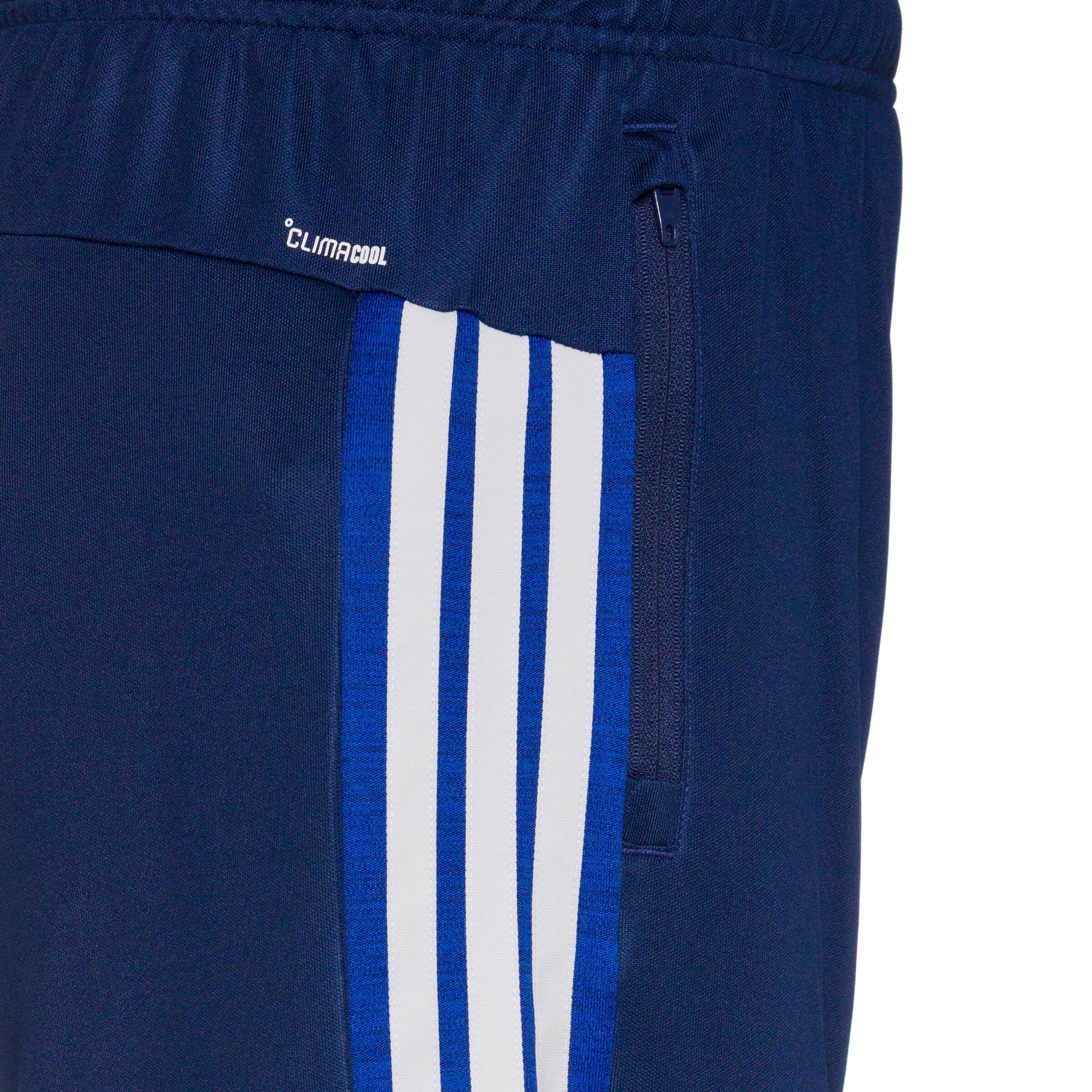 ADIDAS PERFORMANCE Regular Sportshorts in Blau