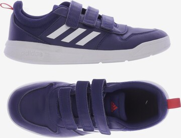 ADIDAS PERFORMANCE Sneaker 39 in Blau: predná strana