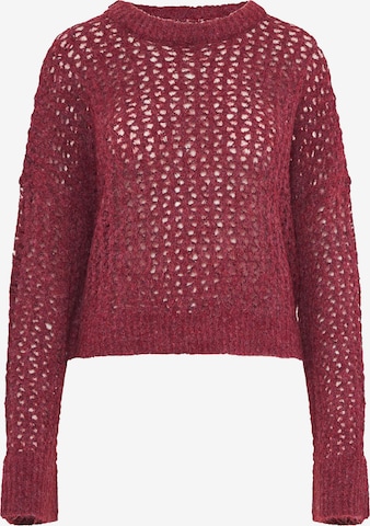 raudona Funky Buddha Megztinis: priekis