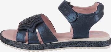 RICHTER Sandals in Blue