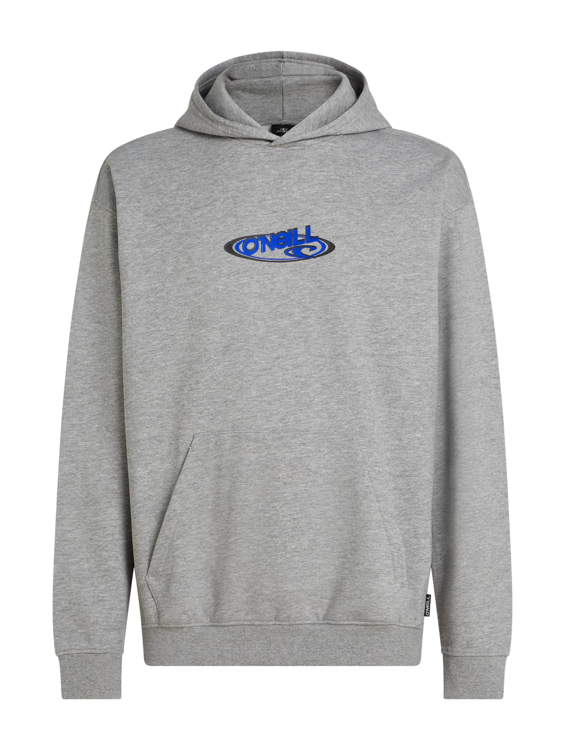 O'NEILL Sweatshirt 'Essentials' in Grey: front