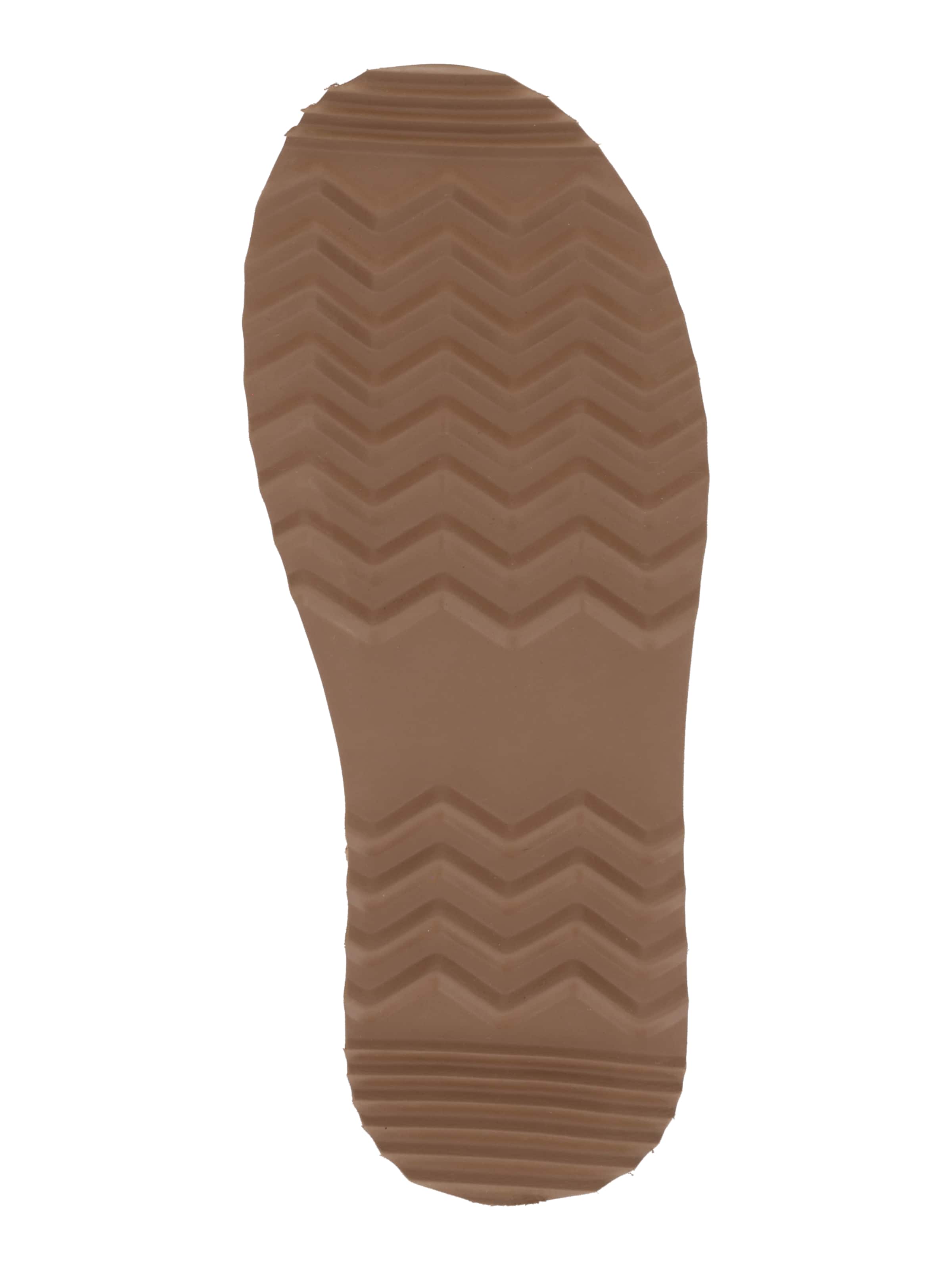 Liu Jo Boots 'JANE 01' i brun