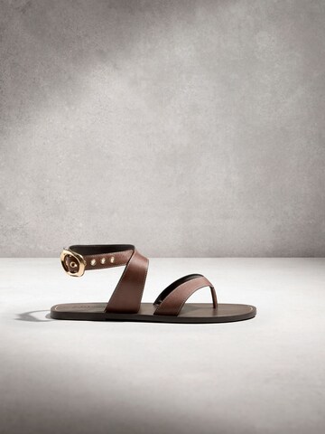 Next T-bar sandals in Brown