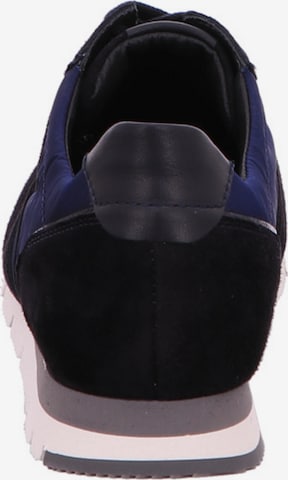 SEMLER Sneaker low in Blau