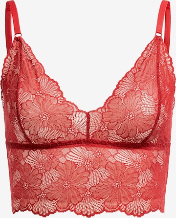Erlich Textil Bustier BH in Rot: Vorderseite