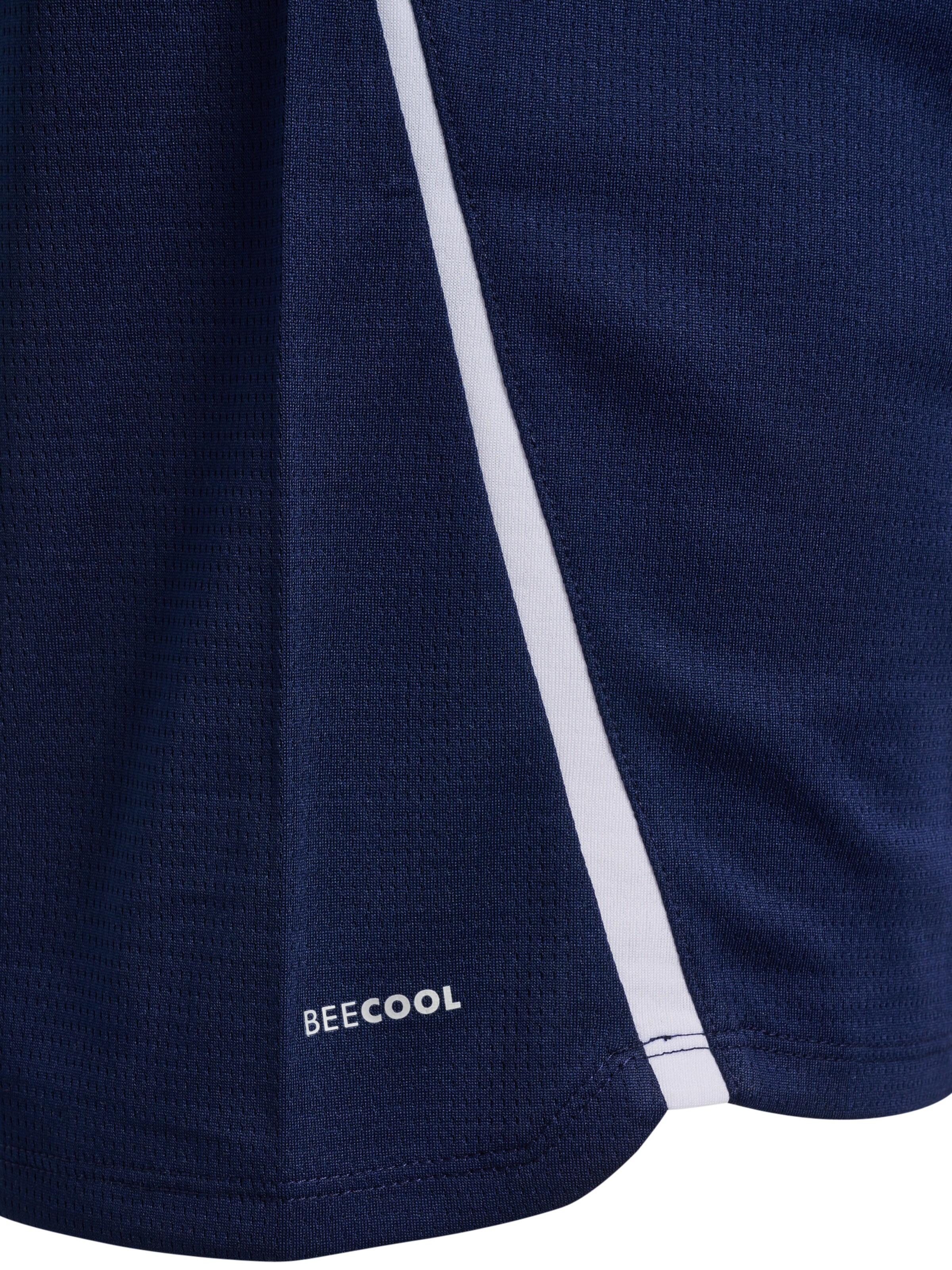 Hummel Funktionsskjorte 'Lead 2.0' i blå