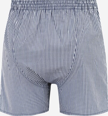 D.E.A.L International Boxer shorts in Blue