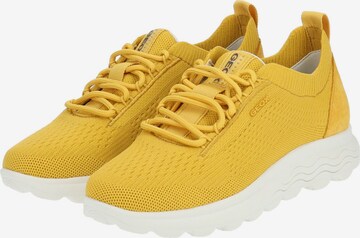 GEOX Sneaker in Gelb