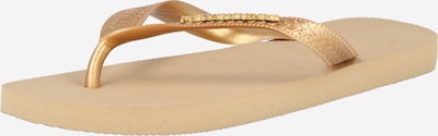 HAVAIANAS Varvastossut värissä kulta, Tuotenäkymä