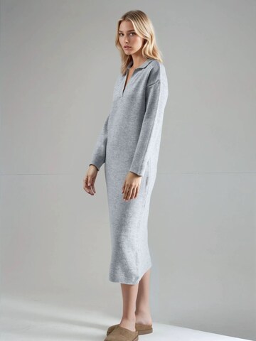 Robes en maille 'Strickkleider' My fashion en gris