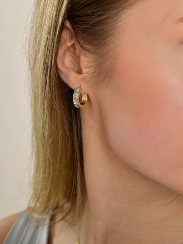 Akzent Earrings 'Timmy, Ionenplattierung' in Gold: front