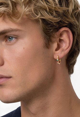 Boucles d'oreilles 'Orian' Heideman en or : devant