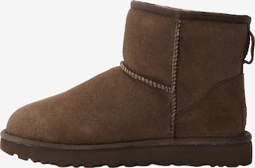 UGG Kozačky 'Classic Mini II' – hnědá: přední strana