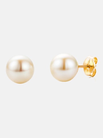 Vanlere Earrings in Yellow: front
