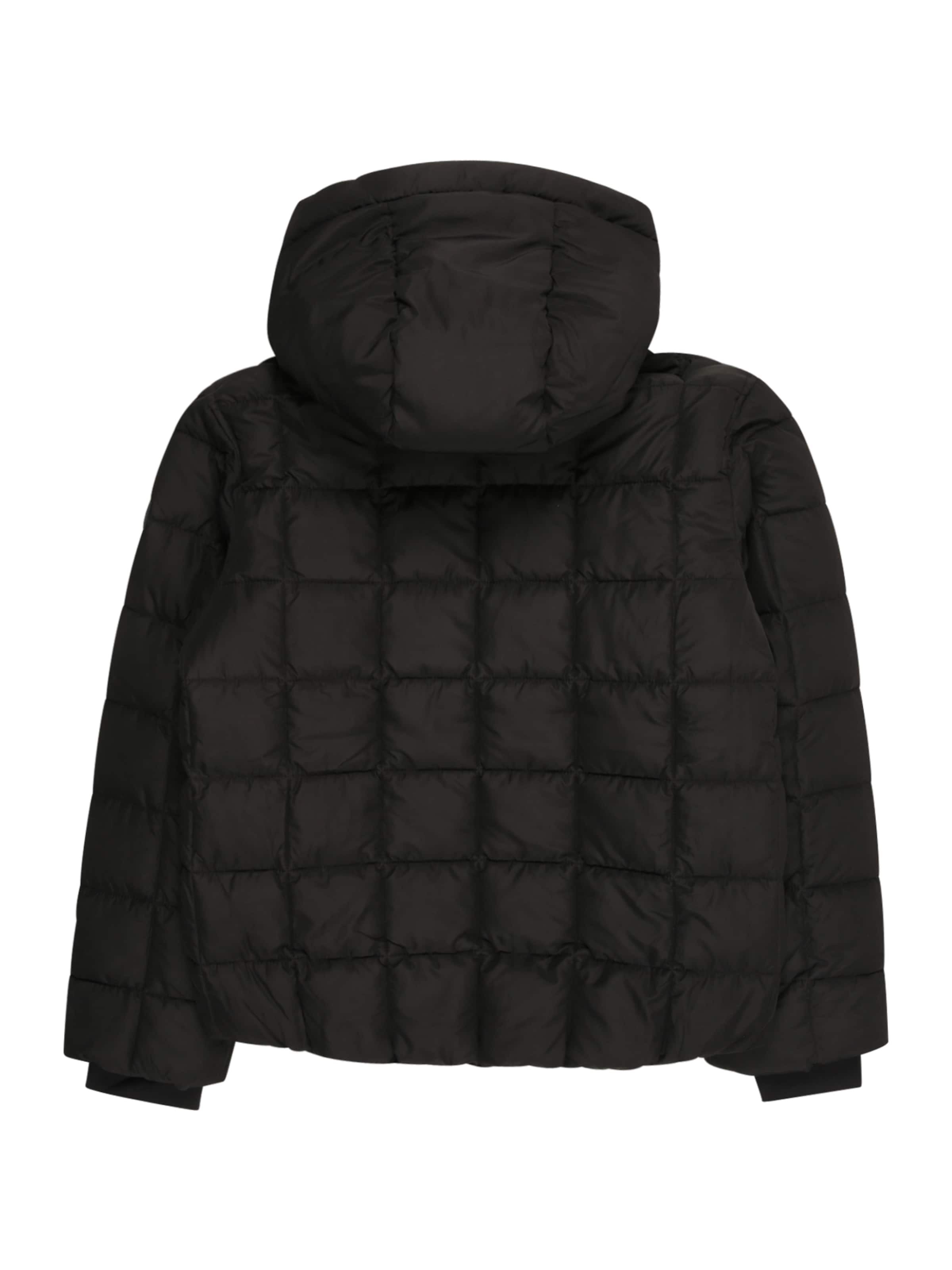 Abercrombie & Fitch Winter Jacket in Black