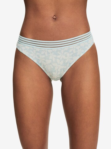 ESPRIT Panty in Blue: front