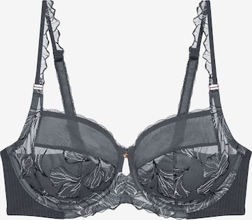 TRIUMPH BH ' Wild Iris Florale ' in Grijs: voorkant