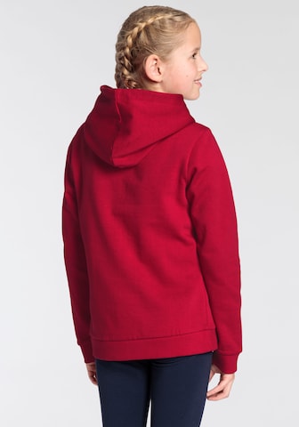 DELMAO Sweatshirt in Red